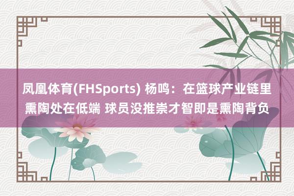 凤凰体育(FHSports) 杨鸣：在篮球产业链里熏陶处在低端 球员没推崇才智即是熏陶背负