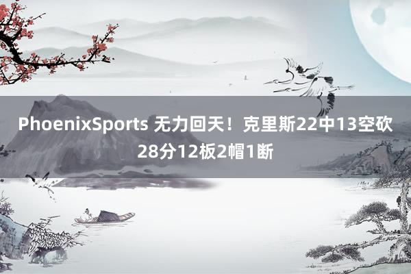 PhoenixSports 无力回天！克里斯22中13空砍28分12板2帽1断