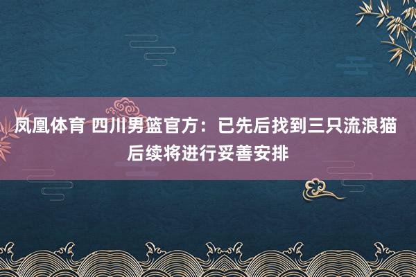 凤凰体育 四川男篮官方：已先后找到三只流浪猫 后续将进行妥善安排