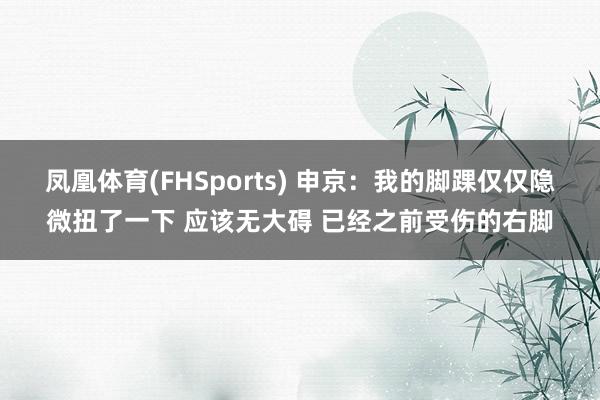 凤凰体育(FHSports) 申京：我的脚踝仅仅隐微扭了一下 应该无大碍 已经之前受伤的右脚