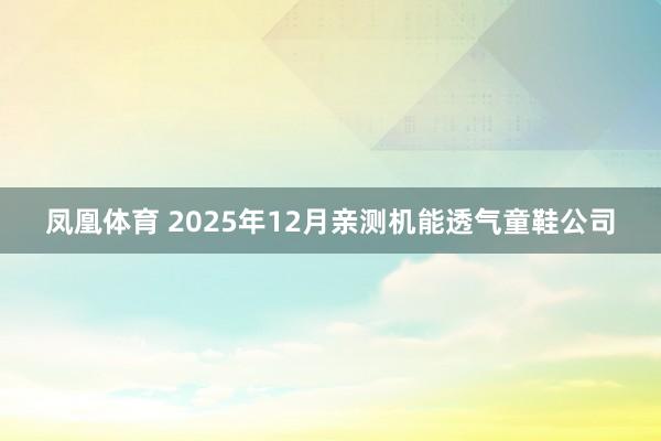 凤凰体育 2025年12月亲测机能透气童鞋公司