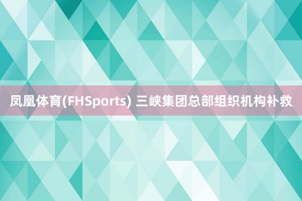 凤凰体育(FHSports) 三峡集团总部组织机构补救