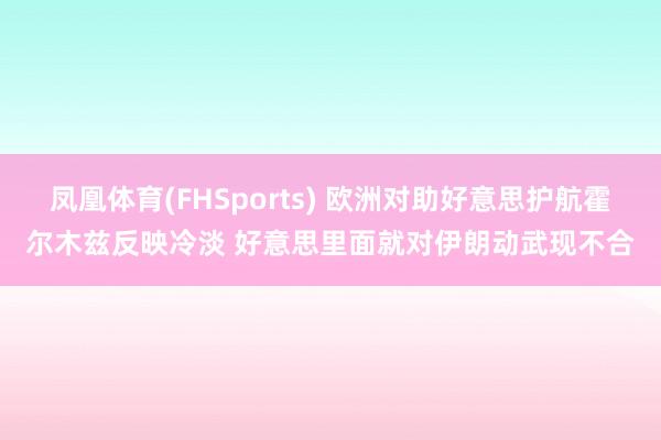 凤凰体育(FHSports) 欧洲对助好意思护航霍尔木兹反映冷淡 好意思里面就对伊朗动武现不合