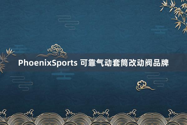 PhoenixSports 可靠气动套筒改动阀品牌