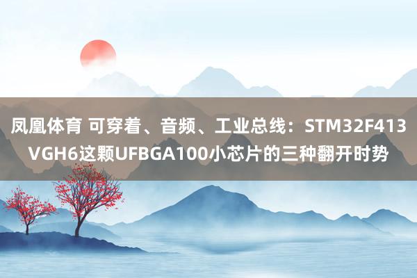 凤凰体育 可穿着、音频、工业总线：STM32F413VGH6这颗UFBGA100小芯片的三种翻开时势