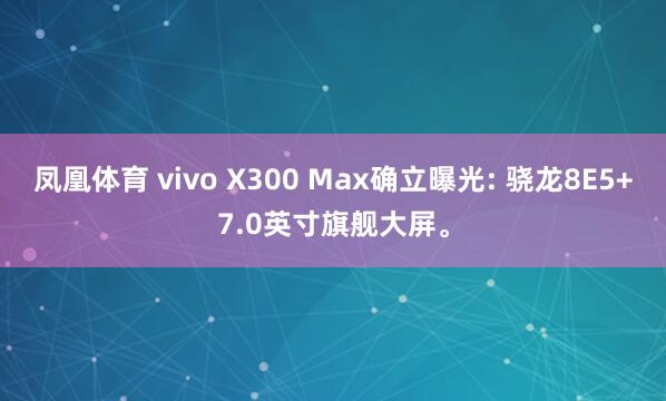 凤凰体育 vivo X300 Max确立曝光: 骁龙8E5+7.0英寸旗舰大屏。