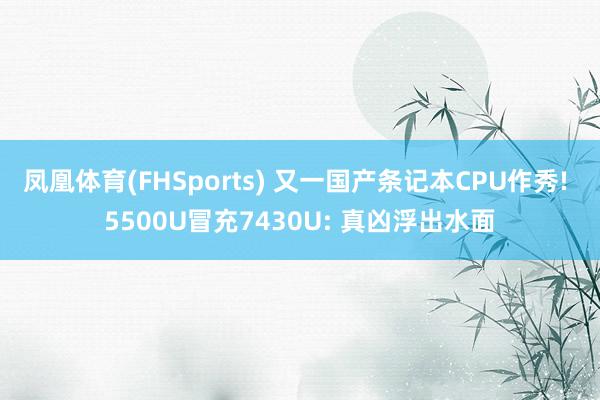 凤凰体育(FHSports) 又一国产条记本CPU作秀! 5500U冒充7430U: 真凶浮出水面