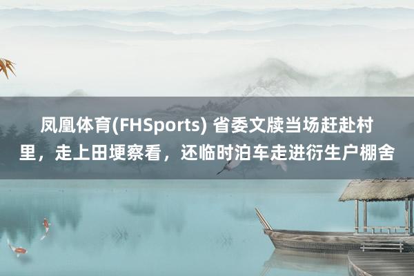 凤凰体育(FHSports) 省委文牍当场赶赴村里，走上田埂察看，还临时泊车走进衍生户棚舍