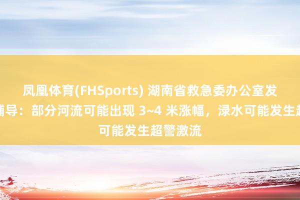 凤凰体育(FHSports) 湖南省救急委办公室发布汛情辅导：部分河流可能出现 3~4 米涨幅，渌水可能发生超警激流