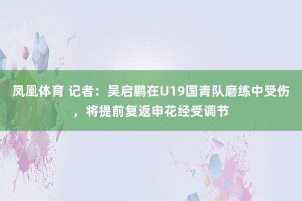 凤凰体育 记者：吴启鹏在U19国青队磨练中受伤，将提前复返申花经受调节