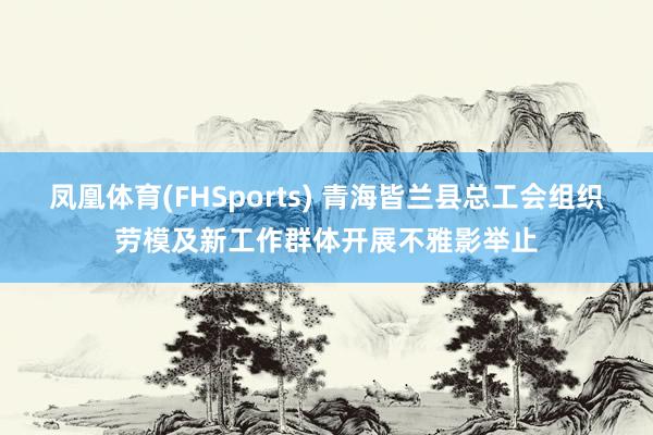 凤凰体育(FHSports) 青海皆兰县总工会组织劳模及新工作群体开展不雅影举止