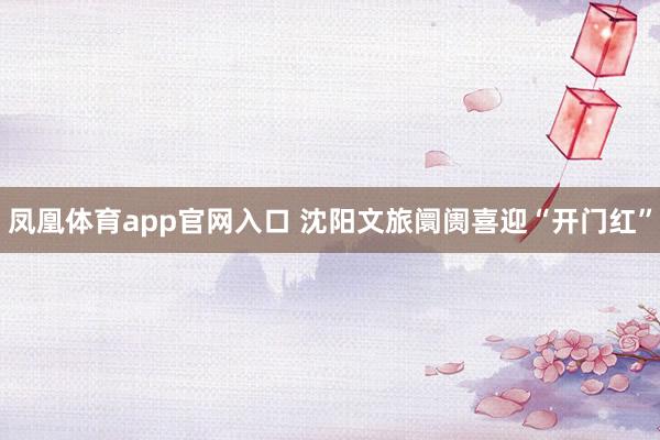 凤凰体育app官网入口 沈阳文旅阛阓喜迎“开门红”