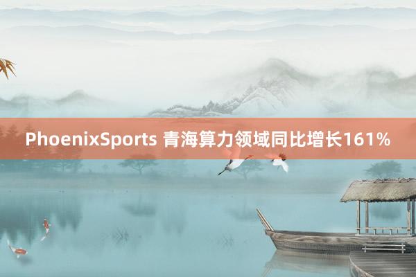 PhoenixSports 青海算力领域同比增长161%