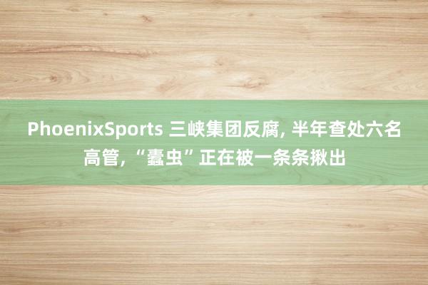 PhoenixSports 三峡集团反腐， 半年查处六名高管， “蠹虫”正在被一条条揪出