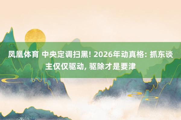 凤凰体育 中央定调扫黑! 2026年动真格: 抓东谈主仅仅驱动， 驱除才是要津