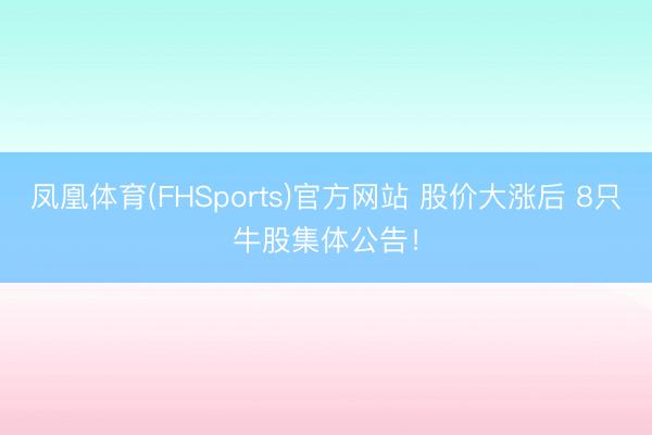 凤凰体育(FHSports)官方网站 股价大涨后 8只牛股集体公告！