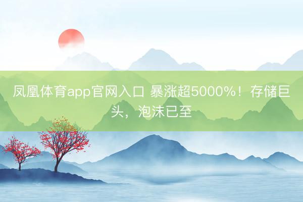 凤凰体育app官网入口 暴涨超5000%！存储巨头，泡沫已至