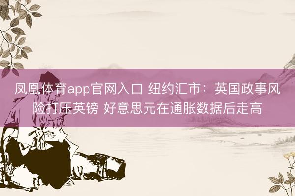 凤凰体育app官网入口 纽约汇市：英国政事风险打压英镑 好意思元在通胀数据后走高