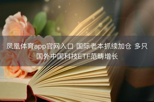 凤凰体育app官网入口 国际老本抓续加仓 多只国外中国科技ETF范畴增长