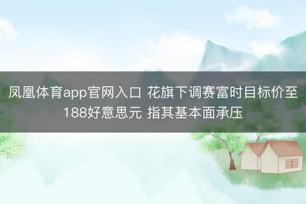 凤凰体育app官网入口 花旗下调赛富时目标价至188好意思元 指其基本面承压