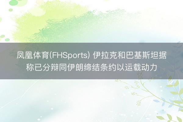 凤凰体育(FHSports) 伊拉克和巴基斯坦据称已分辩同伊朗缔结条约以运载动力