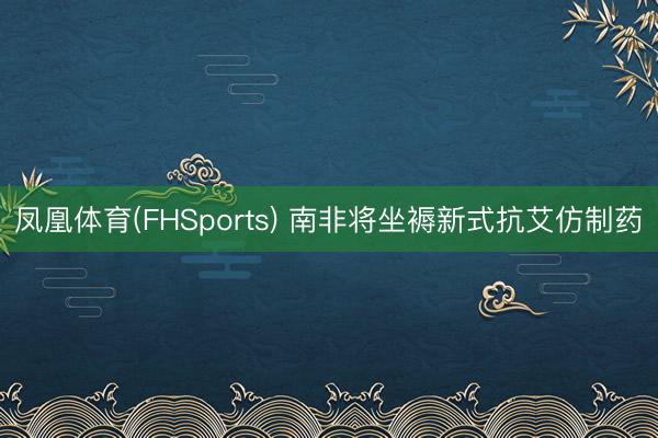 凤凰体育(FHSports) 南非将坐褥新式抗艾仿制药
