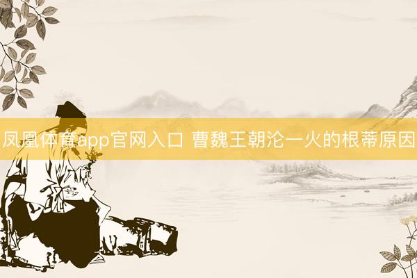 凤凰体育app官网入口 曹魏王朝沦一火的根蒂原因
