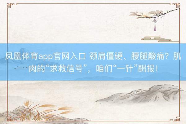 凤凰体育app官网入口 颈肩僵硬、腰腿酸痛？肌肉的“求救信号”，咱们“一针”酬报！