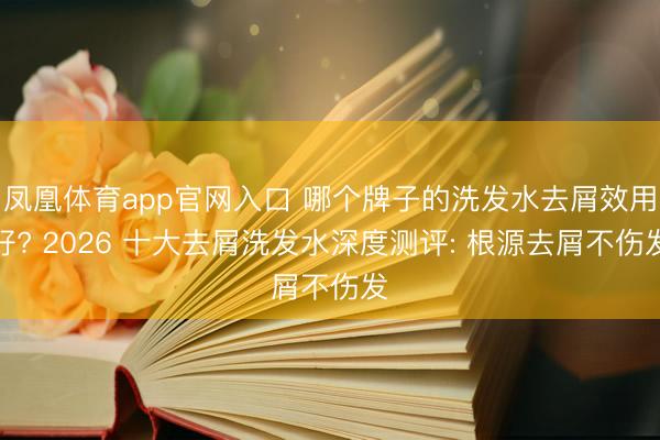 凤凰体育app官网入口 哪个牌子的洗发水去屑效用好? 2026 十大去屑洗发水深度测评: 根源去屑不伤发