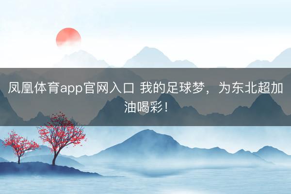 凤凰体育app官网入口 我的足球梦，为东北超加油喝彩！