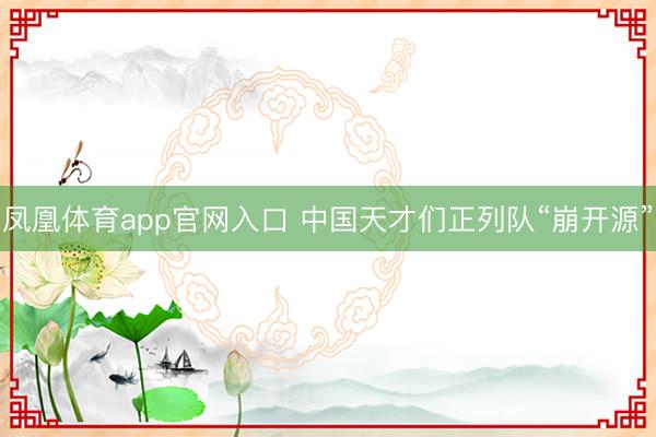 凤凰体育app官网入口 中国天才们正列队“崩开源”