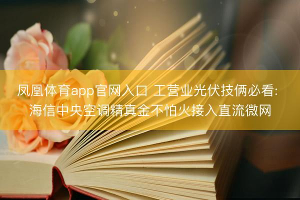 凤凰体育app官网入口 工营业光伏技俩必看: 海信中央空调精真金不怕火接入直流微网