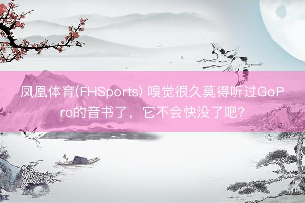 凤凰体育(FHSports) 嗅觉很久莫得听过GoPro的音书了，它不会快没了吧？