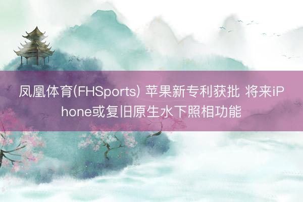 凤凰体育(FHSports) 苹果新专利获批 将来iPhone或复旧原生水下照相功能