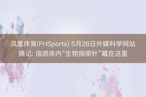 凤凰体育(FHSports) 5月28日外媒科学网站摘记: 信鸽体内“生物指南针”藏在这里