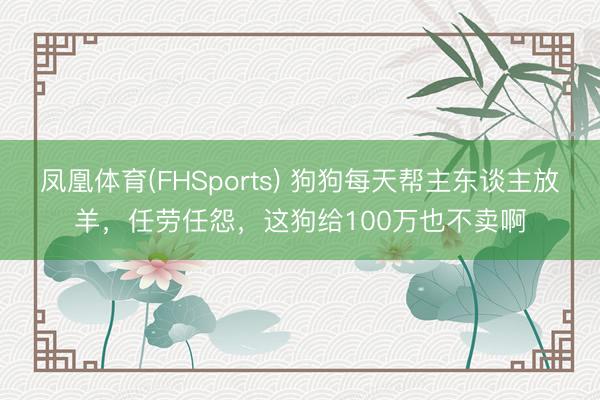 凤凰体育(FHSports) 狗狗每天帮主东谈主放羊，任劳任怨，这狗给100万也不卖啊