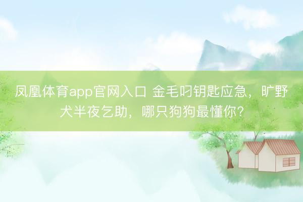 凤凰体育app官网入口 金毛叼钥匙应急,旷野犬半夜乞助,哪只狗狗最懂你?
