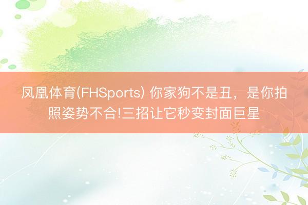 凤凰体育(FHSports) 你家狗不是丑，是你拍照姿势不合!三招让它秒变封面巨星