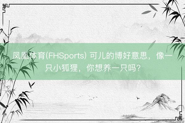 凤凰体育(FHSports) 可儿的博好意思，像一只小狐狸，你想养一只吗?
