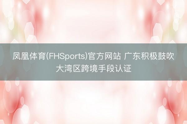 凤凰体育(FHSports)官方网站 广东积极鼓吹大湾区跨境手段认证
