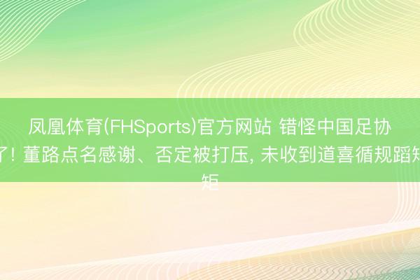 凤凰体育(FHSports)官方网站 错怪中国足协了! 董路点名感谢、否定被打压, 未收到道喜循规蹈矩