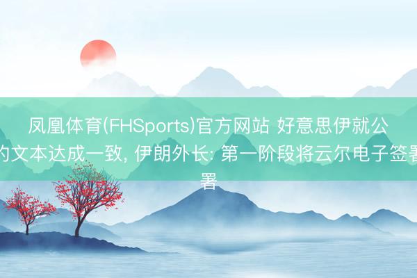凤凰体育(FHSports)官方网站 好意思伊就公约文本达成一致， 伊朗外长: 第一阶段将云尔电子签署