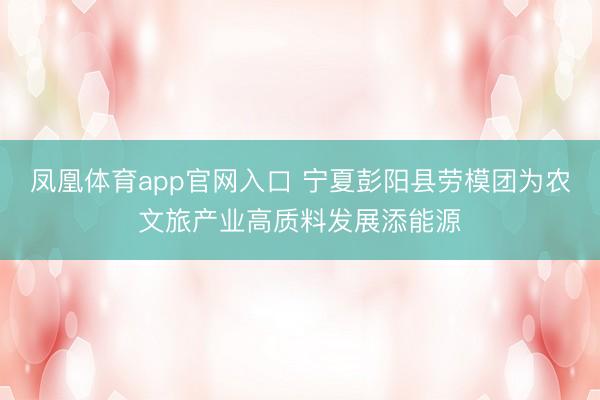 凤凰体育app官网入口 宁夏彭阳县劳模团为农文旅产业高质料发展添能源