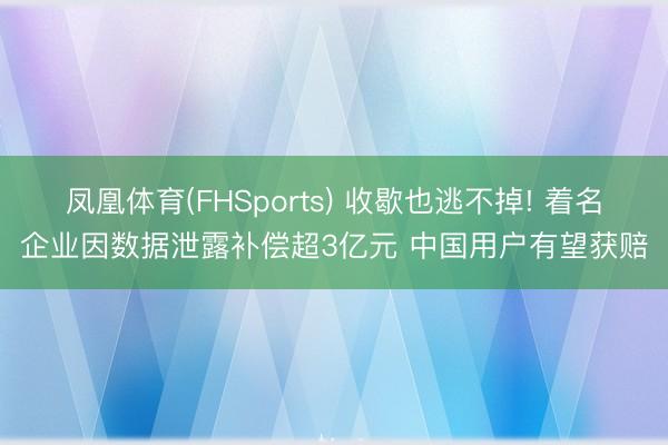 凤凰体育(FHSports) 收歇也逃不掉! 着名企业因数据泄露补偿超3亿元 中国用户有望获赔